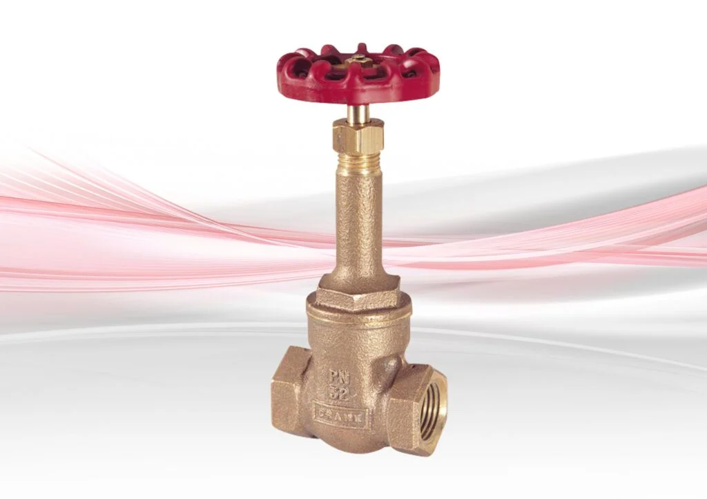 D166_Gate_CFS_10_18-BF-scaled